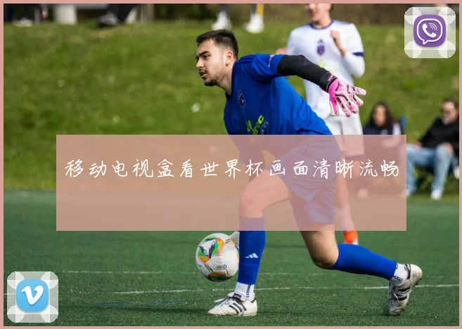 移动电视盒看世界杯画面清晰流畅