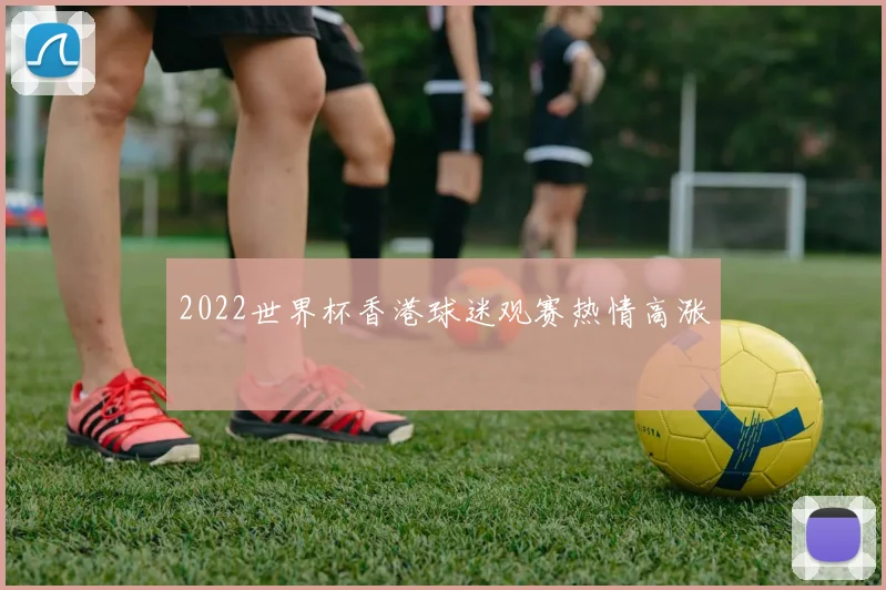 2022世界杯香港球迷观赛热情高涨