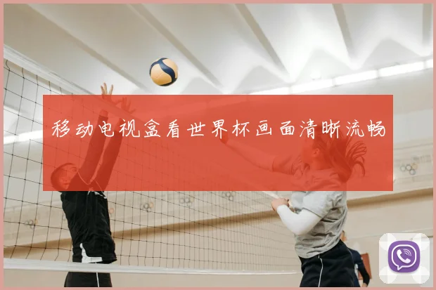 移动电视盒看世界杯画面清晰流畅