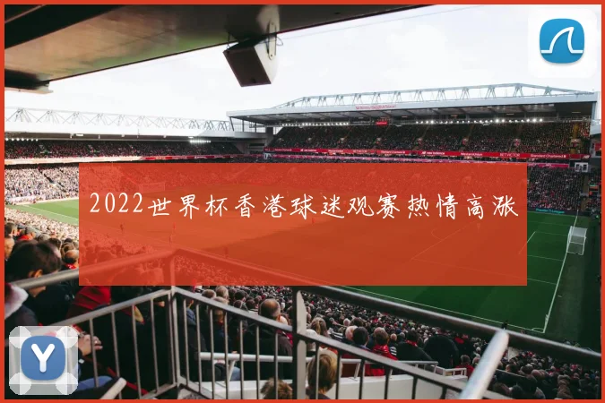 2022世界杯香港球迷观赛热情高涨