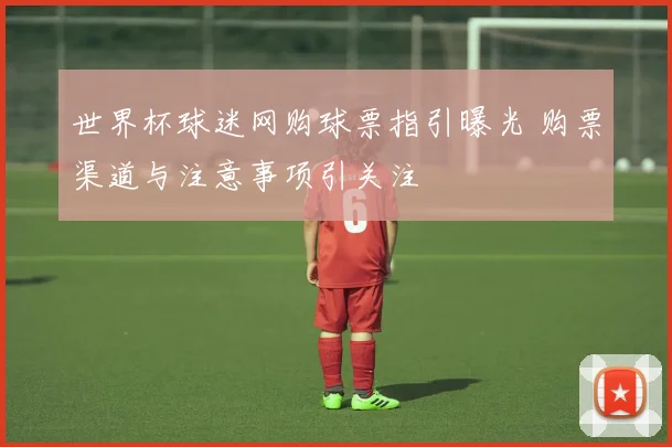 世界杯球迷网购球票指引曝光 购票渠道与注意事项引关注