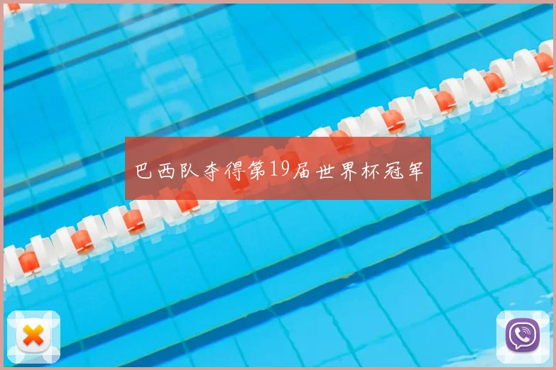 巴西队夺得第19届世界杯冠军