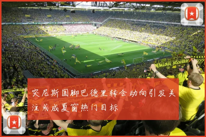 突尼斯国脚巴德里转会动向引发关注或成夏窗热门目标