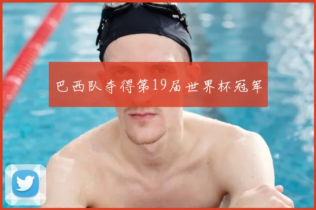 巴西队夺得第19届世界杯冠军