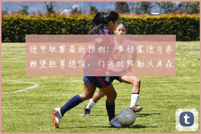 德甲联赛最新预测:多特蒙德与弗赖堡胜算稳固,门兴对阵勒沃库森悬念迭起_比赛_客场_防守