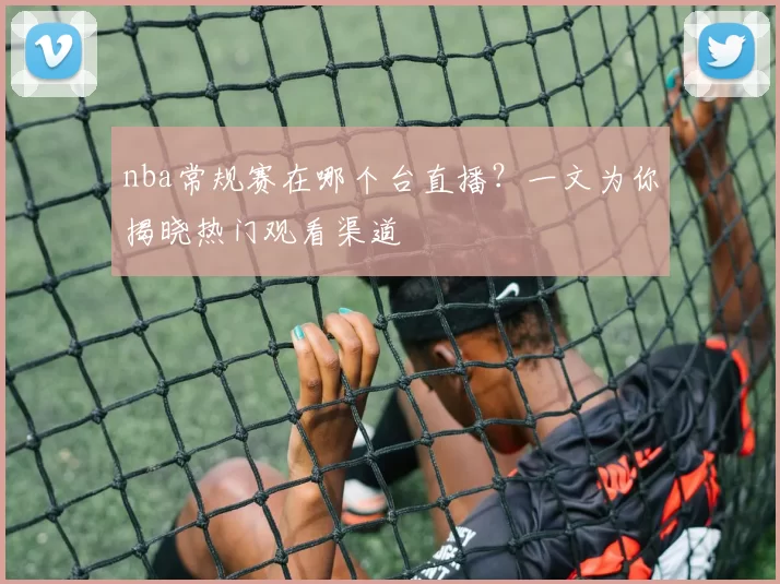 nba常规赛在哪个台直播?一文为你揭晓热门观看渠道