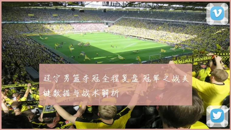 辽宁男篮夺冠全程复盘 冠军之战关键数据与战术解析